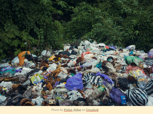 Why-Pure-Tallow-Soap-Deserves-a-Place-in-Every-Plastic-Free-Skincare-Routine Kreiner Natural Soap