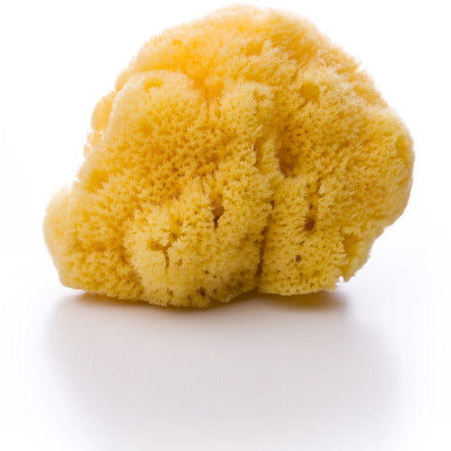 Dead Sea Sponge Kreiner Natural Soaps